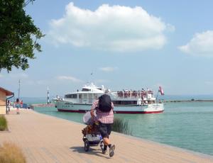 Hostia v ubytovaní BALATON ART Apartman