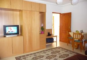 Televízia a/alebo spoločenská miestnosť v ubytovaní BALATON ART Apartman