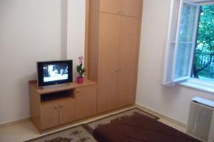 Televízia a/alebo spoločenská miestnosť v ubytovaní BALATON ART Apartman