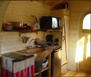 a small kitchen with a sink and a microwave at La Roulotte du Verger in Barneville-sur-Seine