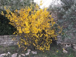 Un jardín fuera de La Borie en Provence