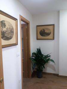 Fotografie z fotogalerie ubytování Apartamento el Torreón v destinaci Setenil