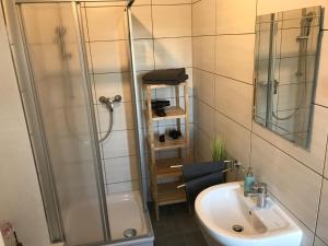 ein Bad mit einer Dusche und einem Waschbecken in der Unterkunft Citywohnungen Halle an der Saale in Halle an der Saale