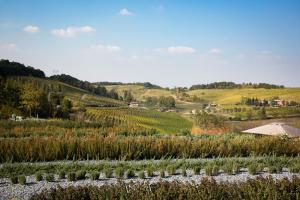 Paesaggio naturale nelle vicinanze dell'hotel