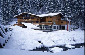 Hotel-Gasthof Waldcafé im Winter