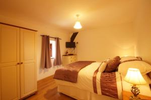 a bedroom with a bed with a lamp and a window at Degwm in Llanwrin