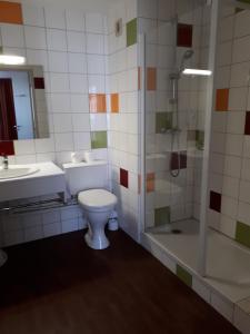 a bathroom with a toilet and a shower and a sink at VVF Urrugne Saint-Jean-de-Luz Côte Basque in Urrugne