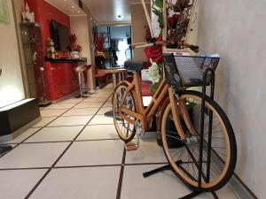 Jízda na kole v ubytování Hotel Susa nebo okolí