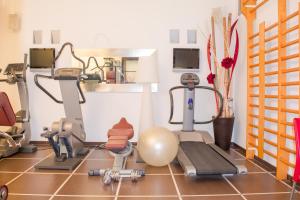 Fitness centrum a/nebo fitness zařízení v ubytování Hotel Susa