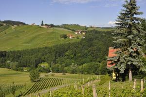 Gallery image of Ferienwohnungen Weingut Familie Danko in Gamlitz