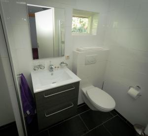 een witte badkamer met een toilet en een wastafel bij De Violier in Eext