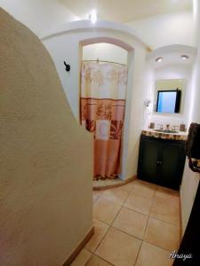 uma casa de banho com um chuveiro e um lavatório. em Las Alamedas em Guanajuato