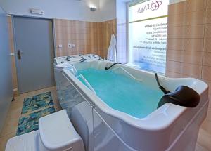Fotografie z fotogalerie ubytování Spa Hotel Goethe v destinaci Františkovy Lázně
