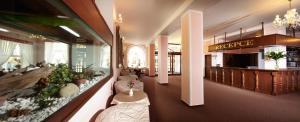 Vstupní hala nebo recepce v ubytování Spa Hotel Goethe