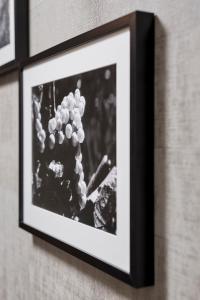 Fotografie z fotogalerie ubytování Hotel Birkenhof v destinaci Bad Radkersburg