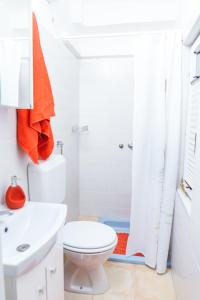 een witte badkamer met een toilet en een douche bij Apartma Nika in Hrvatini