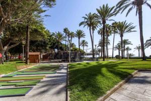 a park with palm trees and a pathway with grass at Espectacular piso Cullera in Cullera