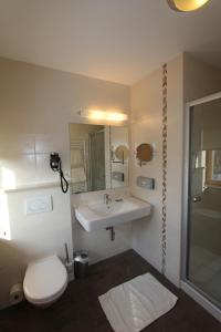 ein Bad mit einem WC und einem Waschbecken in der Unterkunft Landgasthof Apfelbeck in Mamming