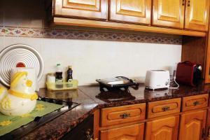 Кухня или мини-кухня в GuestHouse Pombinha
