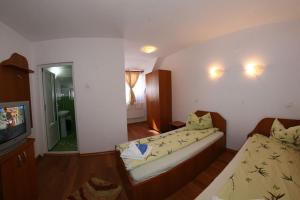 ein Wohnzimmer mit zwei Betten und einem Fernseher in der Unterkunft Vila Ursu in Straja