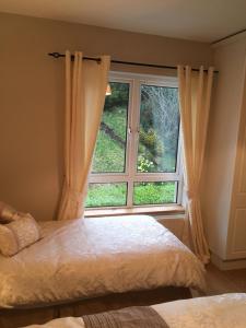 Gallery image of Carrick House B&B in Killybegs