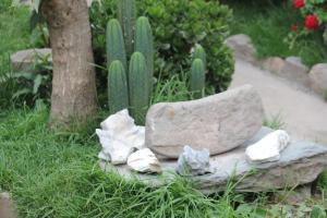 Giardino di Killari B&B