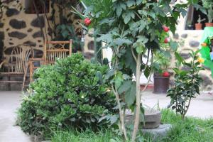 Giardino di Killari B&B