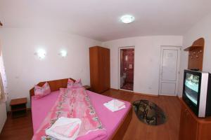 Billede fra billedgalleriet på Vila Ursu i Straja