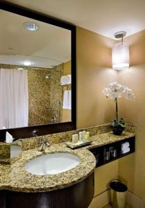 La salle de bains est pourvue d'un lavabo et d'un grand miroir. dans l'établissement Crowne Plaza Chicago O'Hare Hotel & Conference Center, an IHG Hotel, à Rosemont