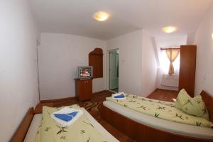 Billede fra billedgalleriet på Vila Ursu i Straja