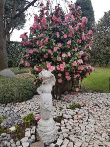 Zahrada ubytování B&B Le Palme