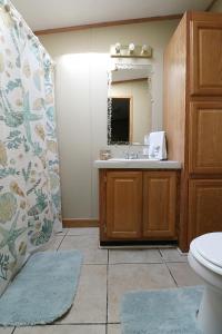 ein Badezimmer mit einem Waschbecken, einem WC und einem Spiegel in der Unterkunft Island Club #93 in Put-in-Bay