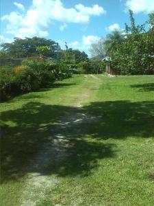 a large shadow of a tree on a grass field at Tiquisia Lodge in Curubandé