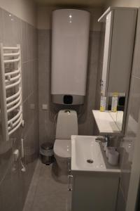 a bathroom with a toilet and a sink and a mirror at Živelina in Telšiai +2 photos