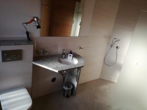 a bathroom with a sink and a shower at Bed & Bike in Trichtingen +16 photos