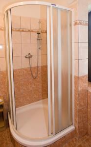 eine Dusche mit Glastür im Bad in der Unterkunft Borovansky mlyn in Borovany