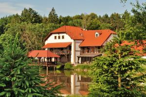 ein Haus mit roten Dächern neben einem Wasserkörper in der Unterkunft Borovansky mlyn in Borovany