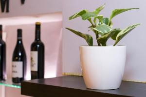 Nápoje v ubytovaní Apartamento Ciudad Monumental