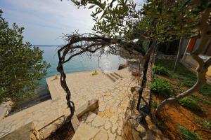 Galeriebild der Unterkunft Apartments by the sea Starigrad Paklenica in Tribanj-Krušćica