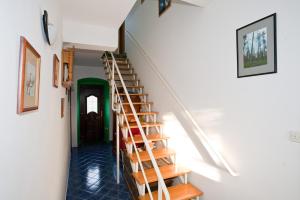 Fotografia z galérie ubytovania PAPE PUNAT apartmani i sobe v destinácii Punat