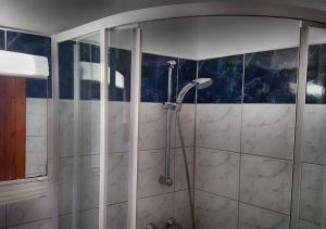 eine Dusche im Bad mit blauen und weißen Fliesen in der Unterkunft Panorama Apartment in Tihany