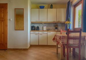 Küche/Küchenzeile in der Unterkunft Panorama Apartment