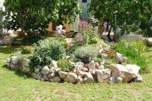 Fotografia z galérie ubytovania PAPE PUNAT apartmani i sobe v destinácii Punat