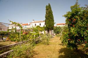Fotografia z galérie ubytovania PAPE PUNAT apartmani i sobe v destinácii Punat