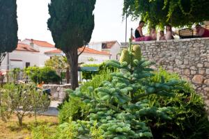 Fotografia z galérie ubytovania PAPE PUNAT apartmani i sobe v destinácii Punat