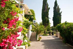 Fotografia z galérie ubytovania PAPE PUNAT apartmani i sobe v destinácii Punat