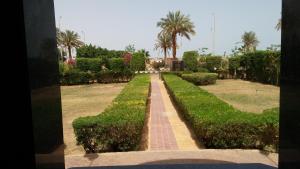 a row of hedges in a park with palm trees at Applicators Hotel in Abu Simbel