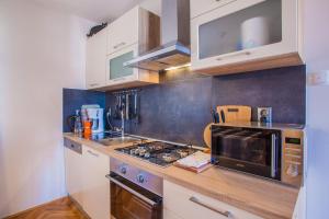 Kuchyň nebo kuchyňský kout v ubytování Apartman Solis