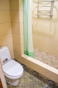 a bathroom with a toilet and a shower at Guest House Cherepaha in Kamianets-Podilskyi