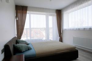 a bedroom with a bed and a large window at Ąžuolo apartamentai in Birštonas